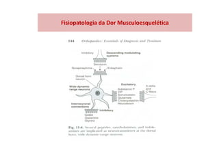 Fisiopatologia da Dor Musculoesquelética
 
