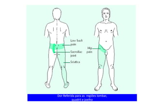 Dor Referida para as regiões lombar,
quadril e joelho
 