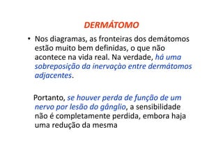 DERMÁTOMO
• Nos diagramas, as fronteiras dos demátomos
estão muito bem definidas, o que não
acontece na vida real. Na verdade, há uma
sobreposição da inervaçào entre dermátomos
adjacentes.
Portanto, se houver perda de função de um
nervo por lesão do gânglio, a sensibilidade
não é completamente perdida, embora haja
uma redução da mesma
 