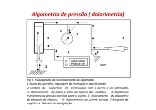 Algometria de pressão ( dolorimetria)
 
