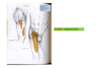 QUADRIL – Diagrama da Dor
Luxação do quadril
Osteonecrose
Afecções inflamatórias
Fratura do quadril
Coxartrose
 