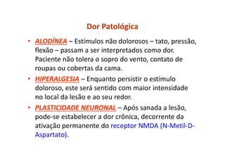 Dor Patológica
• ALODÍNEA – Estímulos não dolorosos – tato, pressão,
flexão – passam a ser interpretados como dor.
Paciente não tolera o sopro do vento, contato de
roupas ou cobertas da cama.
• HIPERALGESIA – Enquanto persistir o estímulo
doloroso, este será sentido com maior intensidade
no local da lesão e ao seu redor.
• PLASTICIDADE NEURONAL – Após sanada a lesão,
pode-se estabelecer a dor crônica, decorrente da
ativação permanente do receptor NMDA (N-Metil-D-
Aspartato).
 