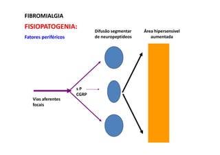 FIBROMIALGIA
FISIOPATOGENIA:
Fatores periféricos
Vias aferentes
focais
s P
CGRP
Difusão segmentar
de neuropeptídeos
Área hipersensível
aumentada
 