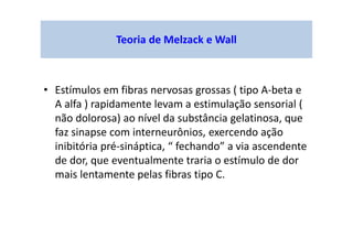 Teoria de Melzack e Wall
• Estímulos em fibras nervosas grossas ( tipo A-beta e
A alfa ) rapidamente levam a estimulação sensorial (
não dolorosa) ao nível da substância gelatinosa, que
faz sinapse com interneurônios, exercendo ação
inibitória pré-sináptica, “ fechando” a via ascendente
de dor, que eventualmente traria o estímulo de dor
mais lentamente pelas fibras tipo C.
 
