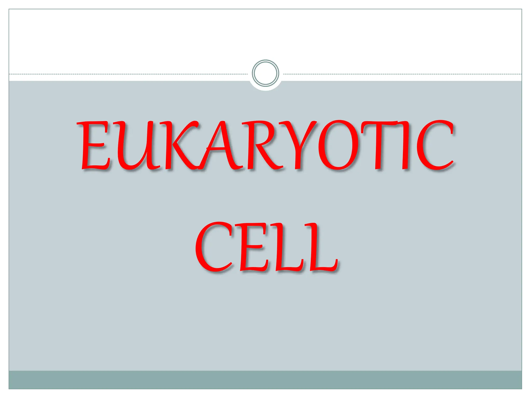 Chapter_5_Cell_structure_and_Organisation.pptx