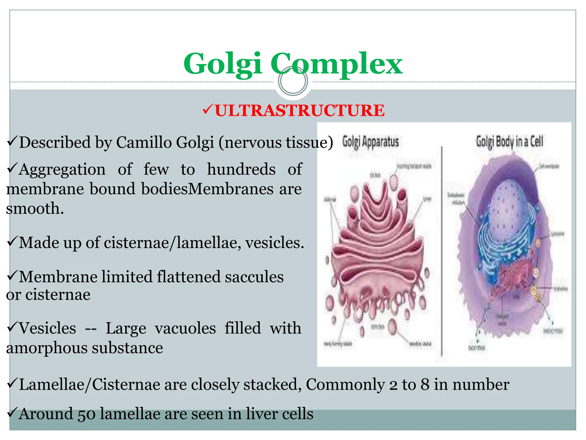 Chapter_5_Cell_structure_and_Organisation.pptx