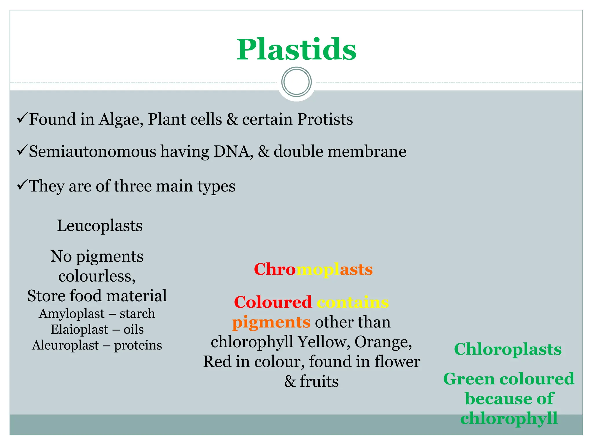 Chapter_5_Cell_structure_and_Organisation.pptx