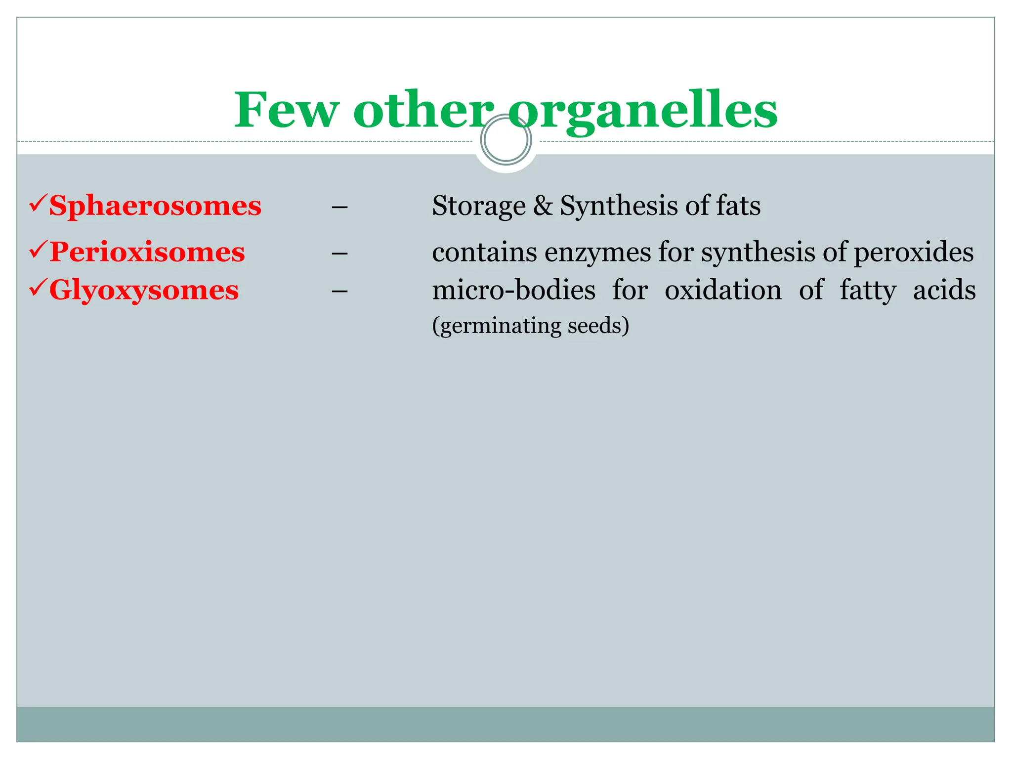 Chapter_5_Cell_structure_and_Organisation.pptx