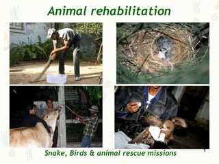 Animal rehabilitation




                                        1
Snake, Birds & animal rescue missions
 