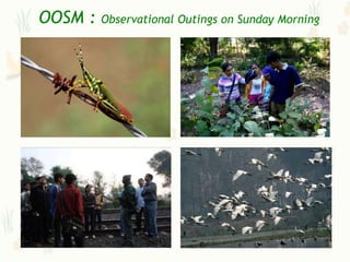 OOSM :   Observational Outings on Sunday Morning
 