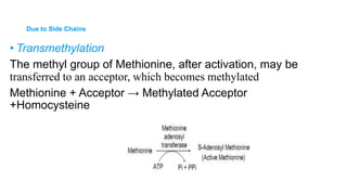GENERAL REACTIONS OF AMINO ACIDS vnd.ms-powerpoint&rendition=1-5.ppt
