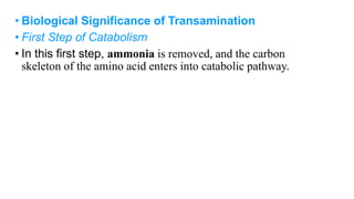 Transaminase Process GENERAL REACTIONS OF AMINO ACIDS vnd.ms-powerpoint&rendition=1-5.ppt