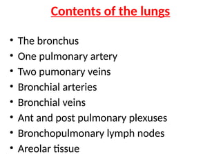 Contents of the lungs
• The bronchus
• One pulmonary artery
• Two pumonary veins
• Bronchial arteries
• Bronchial veins
• Ant and post pulmonary plexuses
• Bronchopulmonary lymph nodes
• Areolar tissue
 