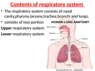 Contents of respiratory system
• The respiratory system consists of nasal
cavity,pharynx,laryanx,trachea,bronchi and lungs.
• consists of two portion
Upper respiratory system-
Lower respiratory system-
 