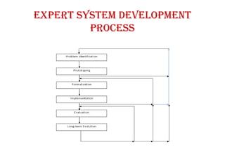 Expert system development
process
 