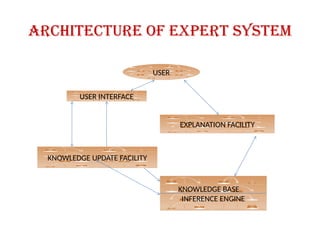 Architecture of expert system
USER
USER INTERFACE
EXPLANATION FACILITY
KNOWLEDGE UPDATE FACILITY
KNOWLEDGE BASE
INFERENCE ENGINE
 