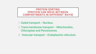 Signal Hypothesis and Protein Sorting Mechanisms in Mitochondria and ...