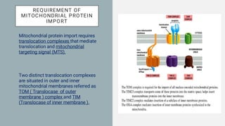 Signal Hypothesis and Protein Sorting Mechanisms in Mitochondria and ...