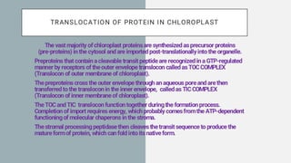 Signal Hypothesis and Protein Sorting Mechanisms in Mitochondria and ...