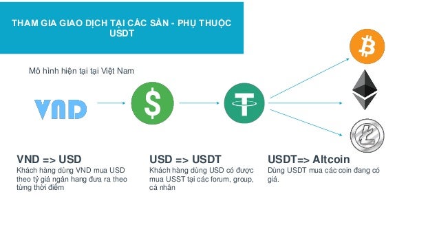 [NEW] Introducing the VNDC presentation