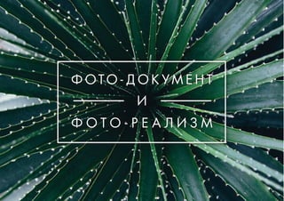 Ф О Т О - Д О К У М Е Н Т
Ф О Т О - Р Е А Л И З М
И
 