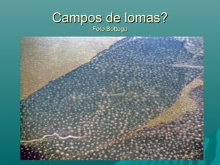 Campos de lomas?Campos de lomas?
Foto BottegaFoto Bottega
 