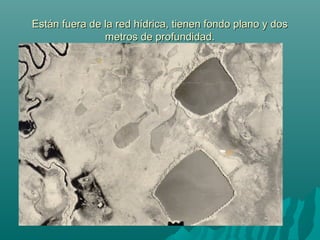 Están fuera de la red hídrica, tienen fondo plano y dosEstán fuera de la red hídrica, tienen fondo plano y dos
metros de profundidad.metros de profundidad.
 
