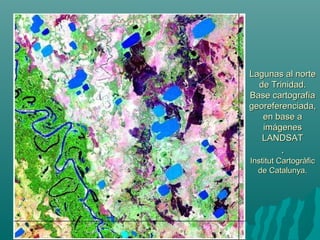 Lagunas al norteLagunas al norte
de Trinidad.de Trinidad.
Base cartografíaBase cartografía
georeferenciada,georeferenciada,
en base aen base a
imágenesimágenes
LANDSATLANDSAT
..
Institut CartogràficInstitut Cartogràfic
de Catalunyade Catalunya..
 