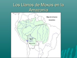Los Llanos de Moxos en laLos Llanos de Moxos en la
AmazoníaAmazonía
 