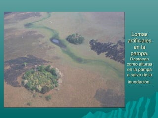 LomasLomas
artificialesartificiales
en laen la
pampa.pampa.
DestacanDestacan
como alturascomo alturas
en la pampaen la pampa
a salvo de laa salvo de la
inundacióninundación..
 