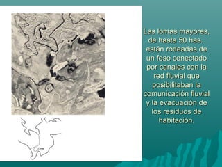 Las lomas mayores,Las lomas mayores,
de hasta 50 has.de hasta 50 has.
están rodeadas deestán rodeadas de
un foso conectadoun foso conectado
por canales con lapor canales con la
red fluvial quered fluvial que
posibilitaban laposibilitaban la
comunicación fluvialcomunicación fluvial
y la evacuación dey la evacuación de
los residuos delos residuos de
habitación.habitación.
 