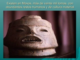 Existen en Moxos, más de veinte mil lomas, conExisten en Moxos, más de veinte mil lomas, con
abundantes restos humanos y de cultura materialabundantes restos humanos y de cultura material
 