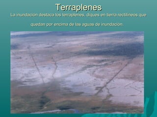 TerraplenesTerraplenes
La inundación destaca los terraplenes, diques en tierra rectilíneos queLa inundación destaca los terraplenes, diques en tierra rectilíneos que
quedan por encima de las aguas de inundación.quedan por encima de las aguas de inundación.
 