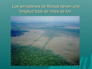 Los terraplenes de Moxos tienen unaLos terraplenes de Moxos tienen una
longitud total de miles de km.longitud total de miles de km.
 