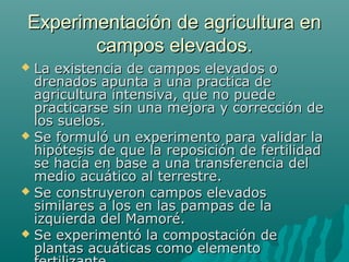 Experimentación de agricultura enExperimentación de agricultura en
campos elevados.campos elevados.
 La existencia de campos elevados oLa existencia de campos elevados o
drenados apunta a una practica dedrenados apunta a una practica de
agricultura intensiva, que no puedeagricultura intensiva, que no puede
practicarse sin una mejora y corrección depracticarse sin una mejora y corrección de
los suelos.los suelos.
 Se formuló un experimento para validar laSe formuló un experimento para validar la
hipótesis de que la reposición de fertilidadhipótesis de que la reposición de fertilidad
se hacía en base a una transferencia delse hacía en base a una transferencia del
medio acuático al terrestre.medio acuático al terrestre.
 Se construyeron campos elevadosSe construyeron campos elevados
similares a los en las pampas de lasimilares a los en las pampas de la
izquierda del Mamoré.izquierda del Mamoré.
 Se experimentó la compostación deSe experimentó la compostación de
plantas acuáticas como elementoplantas acuáticas como elemento
 