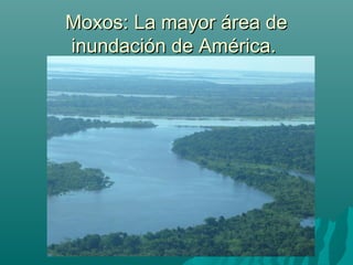 Moxos: La mayor área deMoxos: La mayor área de
inundación de América.inundación de América.
 
