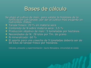 Bases de cálculoBases de cálculo
Se eligió el cultivo de maíz, para validar la hipótesis de laSe eligió el cultivo de maíz, para validar la hipótesis de la
fertilización con tarope, por ser el cultivo más exigente enfertilización con tarope, por ser el cultivo más exigente en
nutrientes. Datos:nutrientes. Datos:
 Tarope fresco: 20 % en materia secaTarope fresco: 20 % en materia seca
 Contenido de N sobre materia seca: 3,5 %Contenido de N sobre materia seca: 3,5 %
 Producción objetivo de maíz: 5 tomeladas por hectárea.Producción objetivo de maíz: 5 tomeladas por hectárea.
 Necesidades de N: 28 kilos por Tm. de grano.Necesidades de N: 28 kilos por Tm. de grano.
 N mineralizado: 60 %N mineralizado: 60 %
 El aporte para una cosecha de 5 toneladas debería ser deEl aporte para una cosecha de 5 toneladas debería ser de
60 kilos de tarope fresco por hectárea.60 kilos de tarope fresco por hectárea.
Cálculos, proyecto y experimentación: Jaume Boixadera. Universitat de LleidaCálculos, proyecto y experimentación: Jaume Boixadera. Universitat de Lleida
 