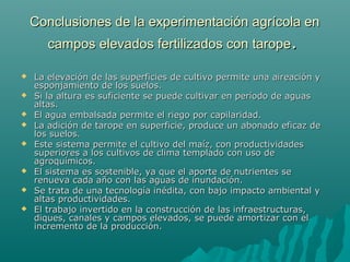 Conclusiones de la experimentación agrícola enConclusiones de la experimentación agrícola en
campos elevados fertilizados con taropecampos elevados fertilizados con tarope..
 La elevación de las superficies de cultivo permite una aireación yLa elevación de las superficies de cultivo permite una aireación y
esponjamiento de los suelos.esponjamiento de los suelos.
 Si la altura es suficiente se puede cultivar en período de aguasSi la altura es suficiente se puede cultivar en período de aguas
altas.altas.
 El agua embalsada permite el riego por capilaridad.El agua embalsada permite el riego por capilaridad.
 La adición de tarope en superficie, produce un abonado eficaz deLa adición de tarope en superficie, produce un abonado eficaz de
los suelos.los suelos.
 Este sistema permite el cultivo del maíz, con productividadesEste sistema permite el cultivo del maíz, con productividades
superiores a los cultivos de clima templado con uso desuperiores a los cultivos de clima templado con uso de
agroquímicos.agroquímicos.
 El sistema es sostenible, ya que el aporte de nutrientes seEl sistema es sostenible, ya que el aporte de nutrientes se
renueva cada año con las aguas de inundación.renueva cada año con las aguas de inundación.
 Se trata de una tecnología inédita, con bajo impacto ambiental ySe trata de una tecnología inédita, con bajo impacto ambiental y
altas productividades.altas productividades.
 El trabajo invertido en la construcción de las infraestructuras,El trabajo invertido en la construcción de las infraestructuras,
diques, canales y campos elevados, se puede amortizar con eldiques, canales y campos elevados, se puede amortizar con el
incremento de la producción.incremento de la producción.
 
