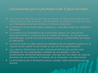 Conclusiones para la etnohistoria del Trópico Húmedo.Conclusiones para la etnohistoria del Trópico Húmedo.
 Los restos de estructuras agrícolas de Moxos, evidencian la existencia deLos restos de estructuras agrícolas de Moxos, evidencian la existencia de
poblaciones de alta densidad, coordinadas en su planificación del territorio,poblaciones de alta densidad, coordinadas en su planificación del territorio,
que manejaban sistemas inéditos de manejo productivo.que manejaban sistemas inéditos de manejo productivo.
 La Amazonía tiene potenciales ecológicos y culturales hasta hoy negados oLa Amazonía tiene potenciales ecológicos y culturales hasta hoy negados o
ignorados.ignorados.
 La existencia en Sudamérica de numerosos lugares con estructurasLa existencia en Sudamérica de numerosos lugares con estructuras
agrícolas similares, evidencia que el modelo de Moxos, era de aplicaciónagrícolas similares, evidencia que el modelo de Moxos, era de aplicación
generalizada, cuando los condicionantes políticos y ambientales permitíangeneralizada, cuando los condicionantes políticos y ambientales permitían
su aplicación.su aplicación.
 La mayor parte de estas obras han desaparecido en aquellos lugares en laLa mayor parte de estas obras han desaparecido en aquellos lugares en la
riqueza de los suelos ha permitido su uso por la la agroindustria,riqueza de los suelos ha permitido su uso por la la agroindustria,
 Las culturas amazónicas no son culturas primitivas que se han vistoLas culturas amazónicas no son culturas primitivas que se han visto
limitadas por las capacidades mentales de sus gentes, ni por unlimitadas por las capacidades mentales de sus gentes, ni por un
condicionante ambiental generalizado, sino que son los restos de culturascondicionante ambiental generalizado, sino que son los restos de culturas
diversas que sucumbieron al impacto de la conquista y la colonización.diversas que sucumbieron al impacto de la conquista y la colonización.
 La etnohistoria de la Amazonía precisa rescatar estos elementos para suLa etnohistoria de la Amazonía precisa rescatar estos elementos para su
avance.avance.
 