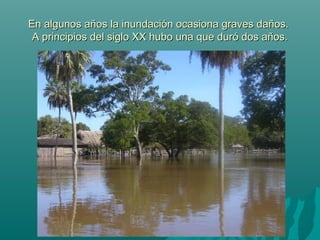 En algunos años la inundación ocasiona graves daños.En algunos años la inundación ocasiona graves daños.
A principios del siglo XX hubo una que duró dos años.A principios del siglo XX hubo una que duró dos años.
 