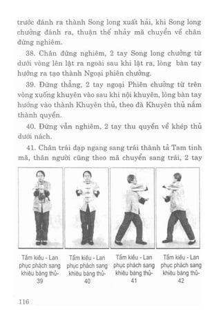 Vịnh xuân kungfu   tập 1
