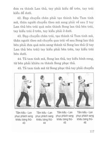 Vịnh xuân kungfu   tập 1