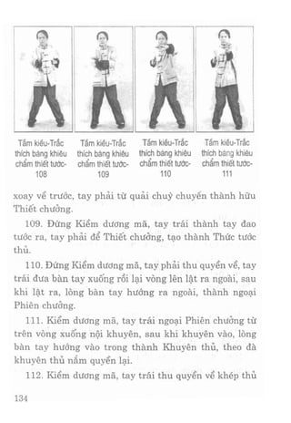 Vịnh xuân kungfu   tập 1