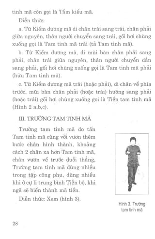 Vịnh xuân kungfu   tập 1