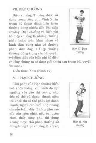 Vịnh xuân kungfu   tập 1