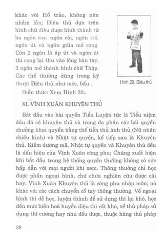 Vịnh xuân kungfu   tập 1