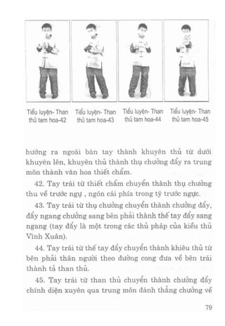 Vịnh xuân kungfu   tập 1