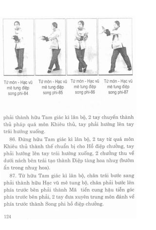 Vịnh xuân kungfu   tập 2