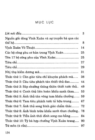 Vịnh xuân kungfu   tập 2