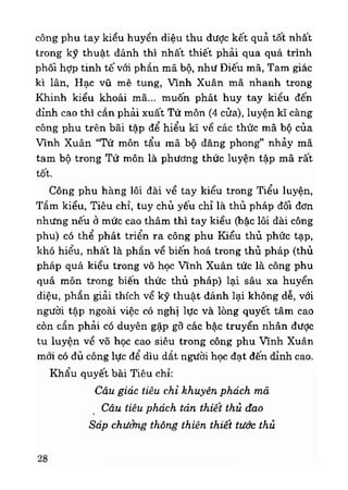 Vịnh xuân kungfu   tập 2